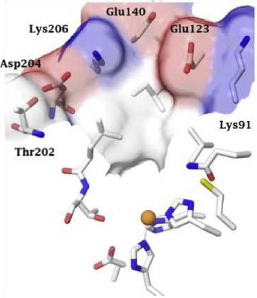 lbt01